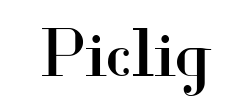 Piclig - logo